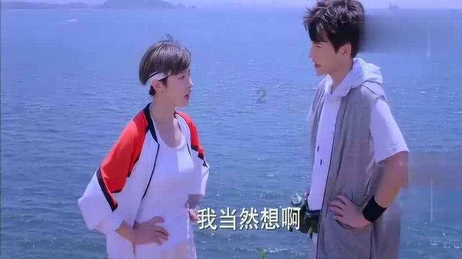 做牛肉丸子的粉包买啥牌子的好?-专业解决你的问题